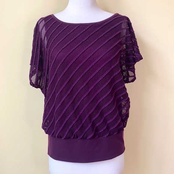 AB Studio Purple Batwing Layered Mesh Top - Picture 1 of 10